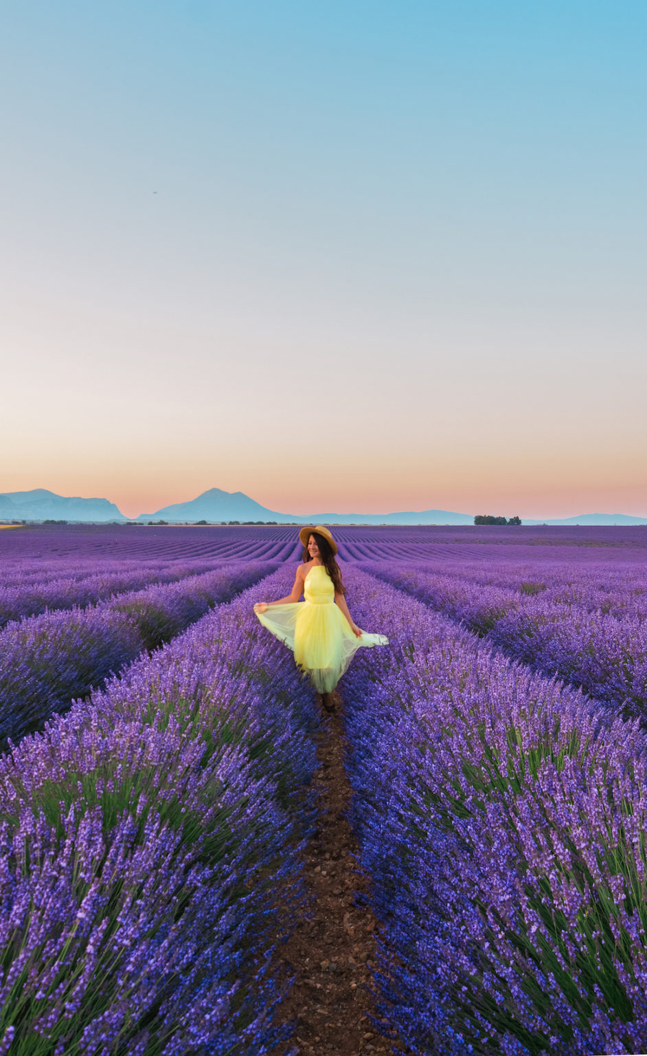 Sunrise and lavender field