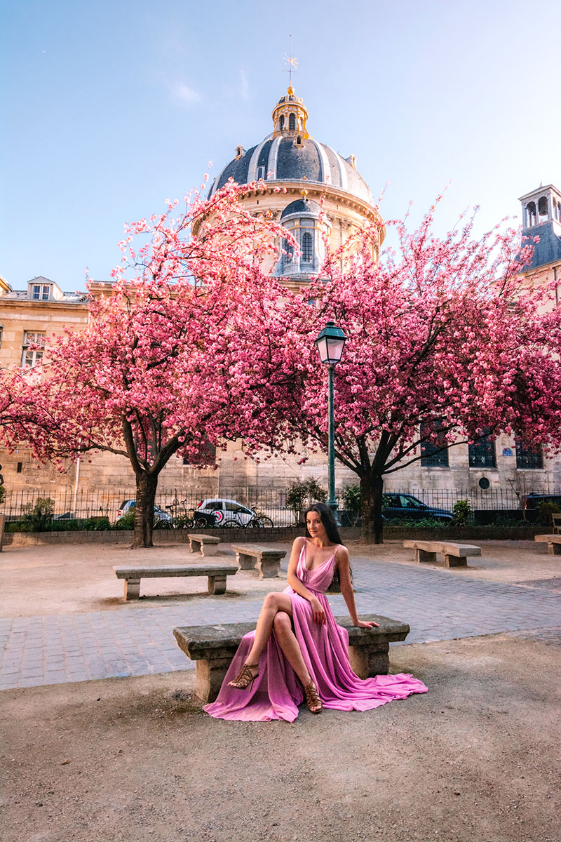 10 Best Places to see the Cherry Blossoms in Paris Nathalie Wanders