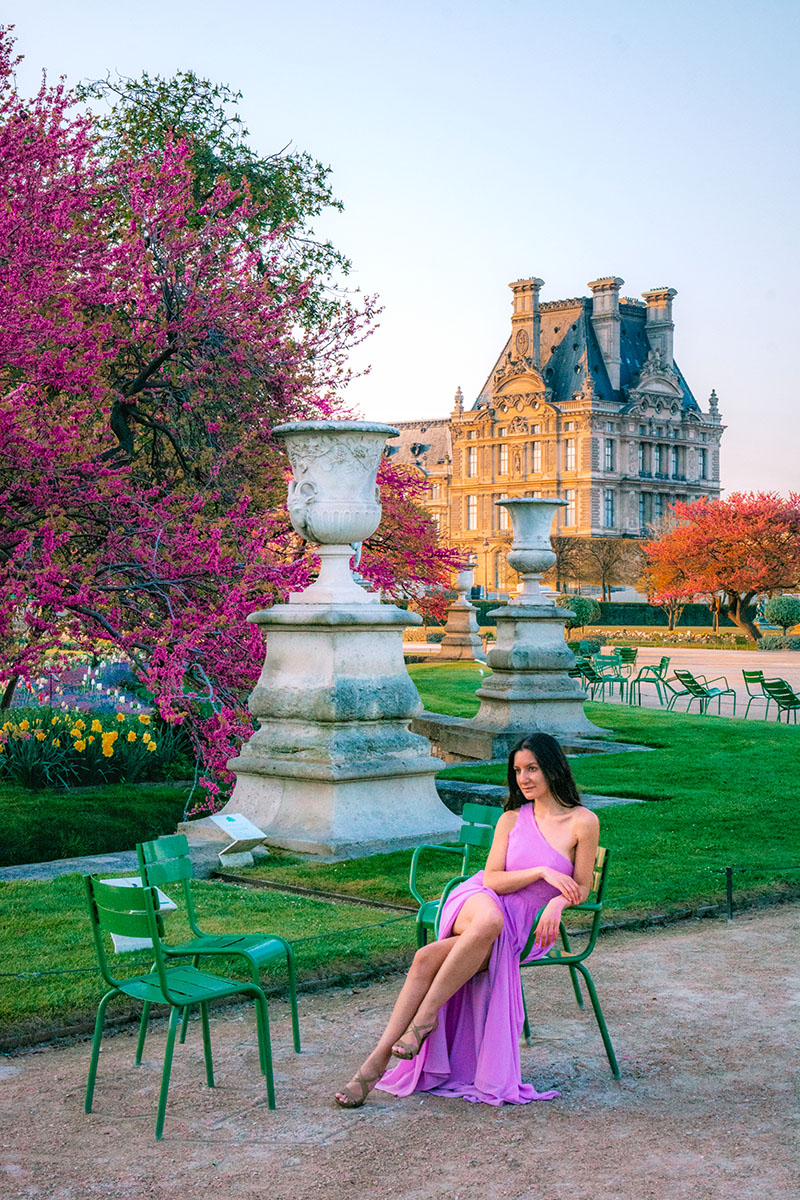 Louvre Judas Tree