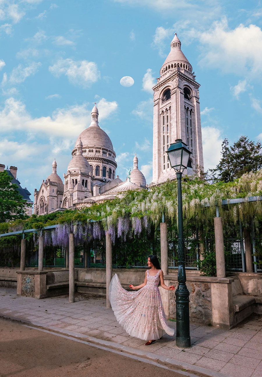 Montmartre Wisteria