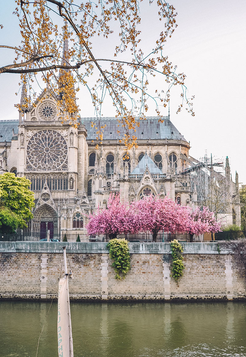 Spring in Paris - Best Places To See the Blooms - Nathalie Wanders