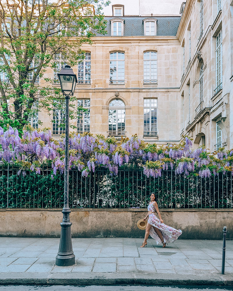 Maison de la Photographie Wisteria